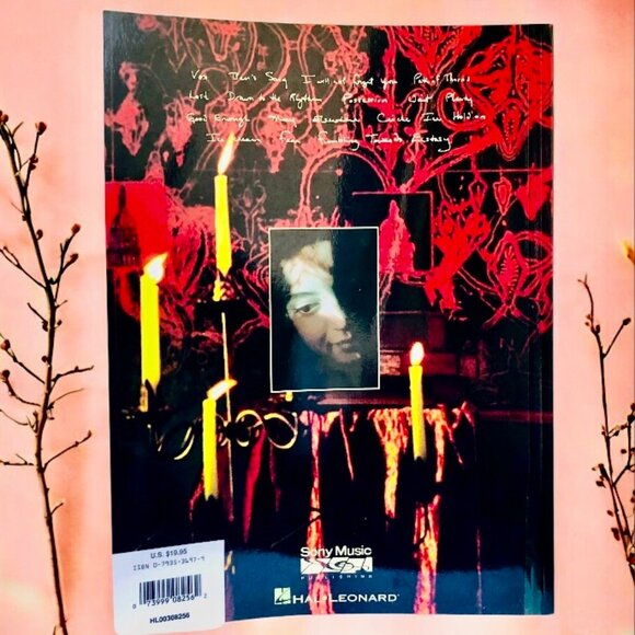 Sarah McLachlan Songbook Sheet Music Fumbling Ben's Song Plenty Ice Paperback - Picture 2 of 13